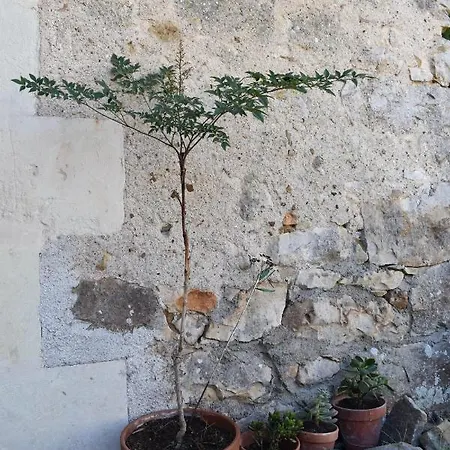 Maison Septembre